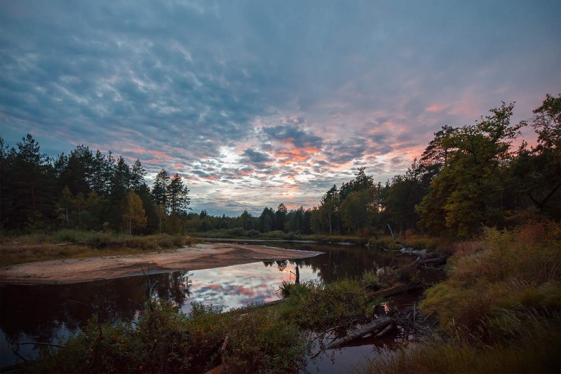 Национальный парк Мещёра во Владимирской области фото
