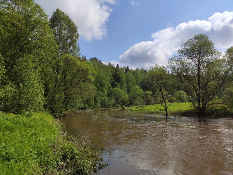 Река Владислав