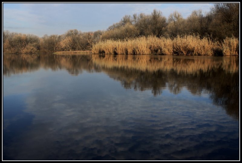 Река Нара Калужская область