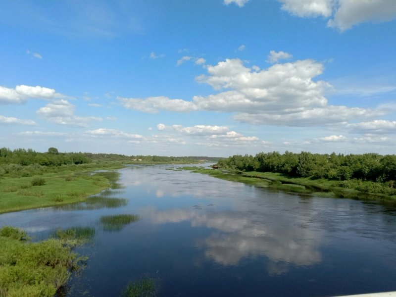 Река Молога Тверская область островок
