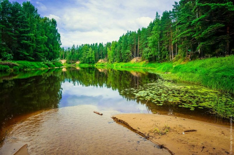 Река Молога Тверская область