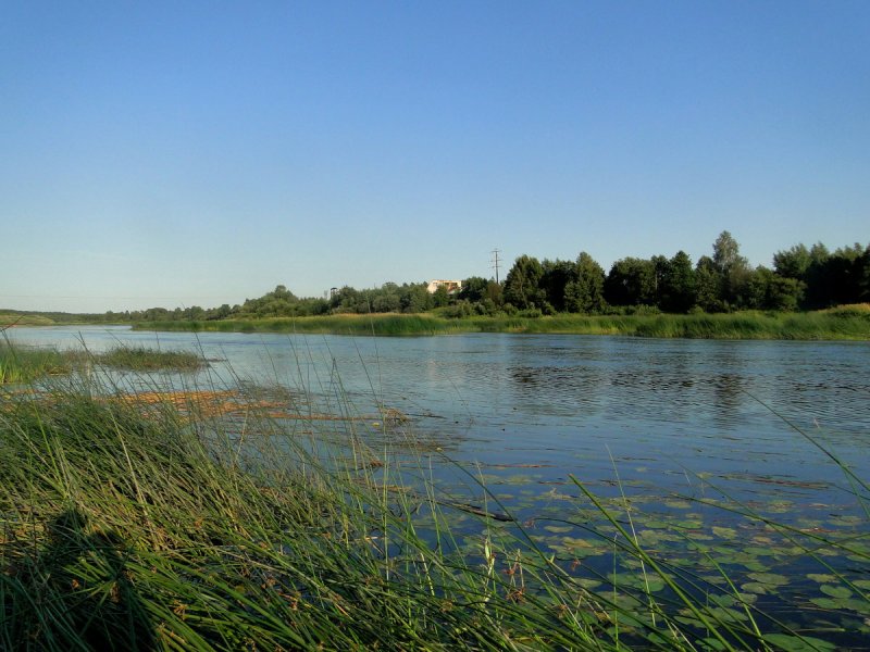 Река Молога впадает в Рыбинское водохранилище