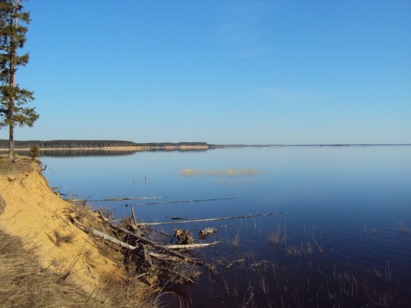 Весьегонск река Молога