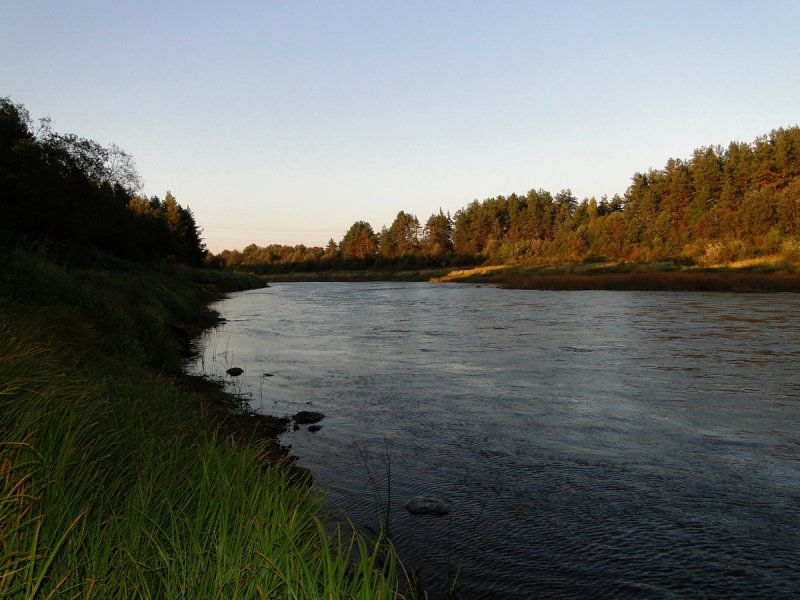 Река в Пестово Новгородской области