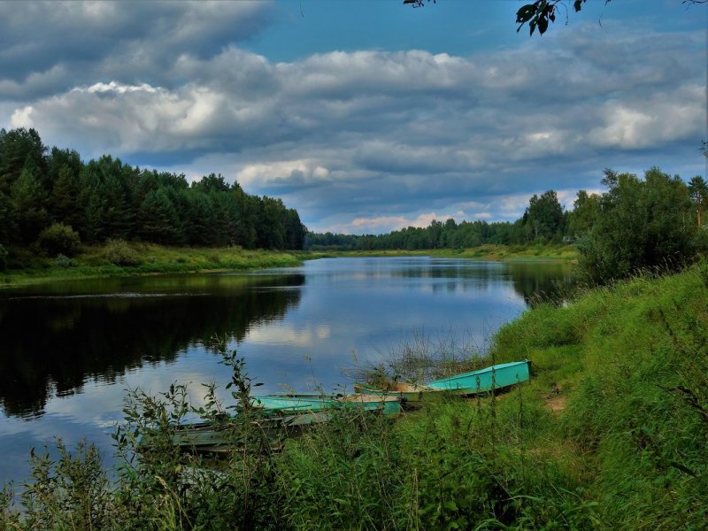 Река Молога Новгородская область