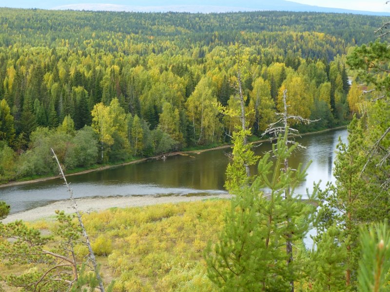 Река Вижай Свердловская область