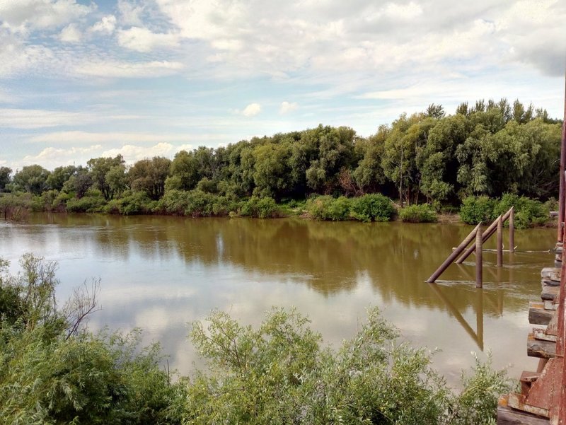 Река Ишим в Омской области