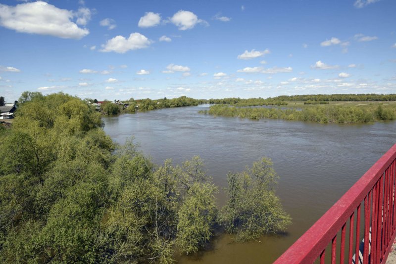 Куйбышевский голубячий река природа