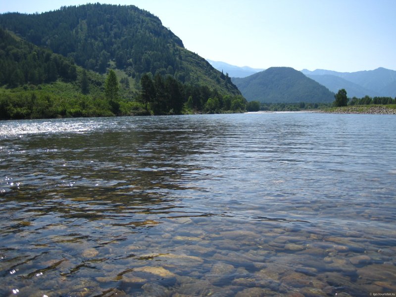 Река Чарыш, Краснощёковский район, Алтайский край