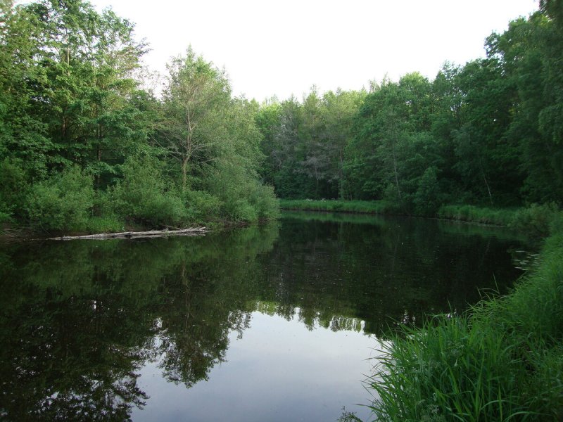 Река сестра в Сестрорецке