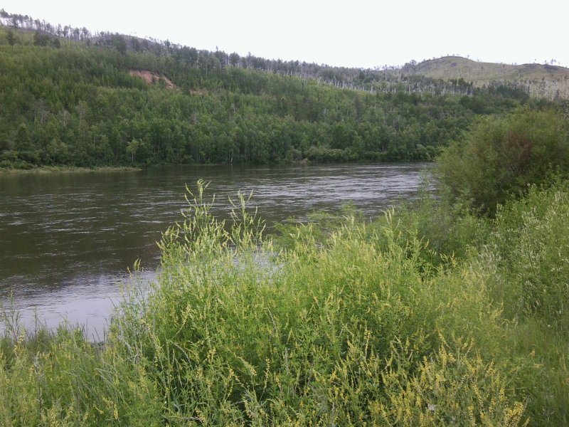 Нерчинск река Нерча