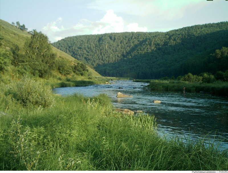 Река Сакмара Саракташский район