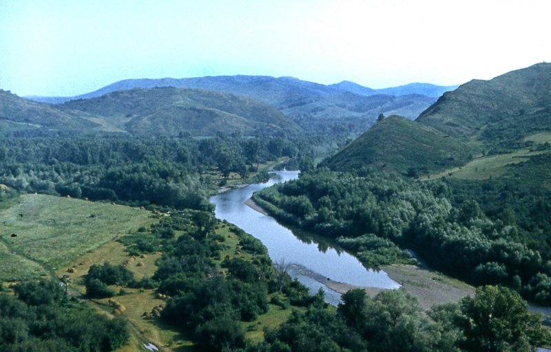 Природа река Сакмара