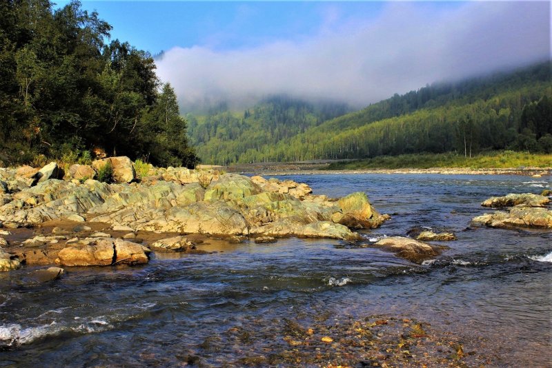 Река кия Томская область