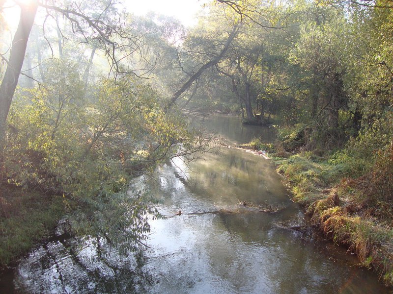 Притоки реки Пехорки в Балашихе