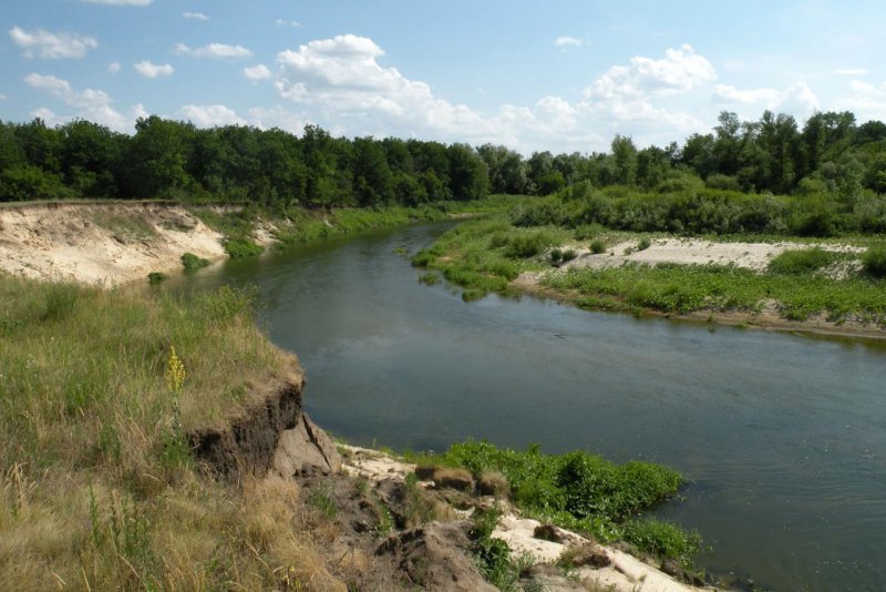 Река Медведица Тверская