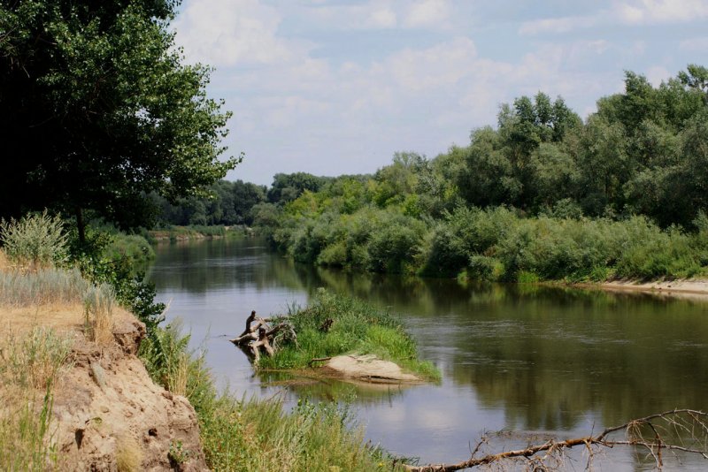 Река Медведица Волгоградская