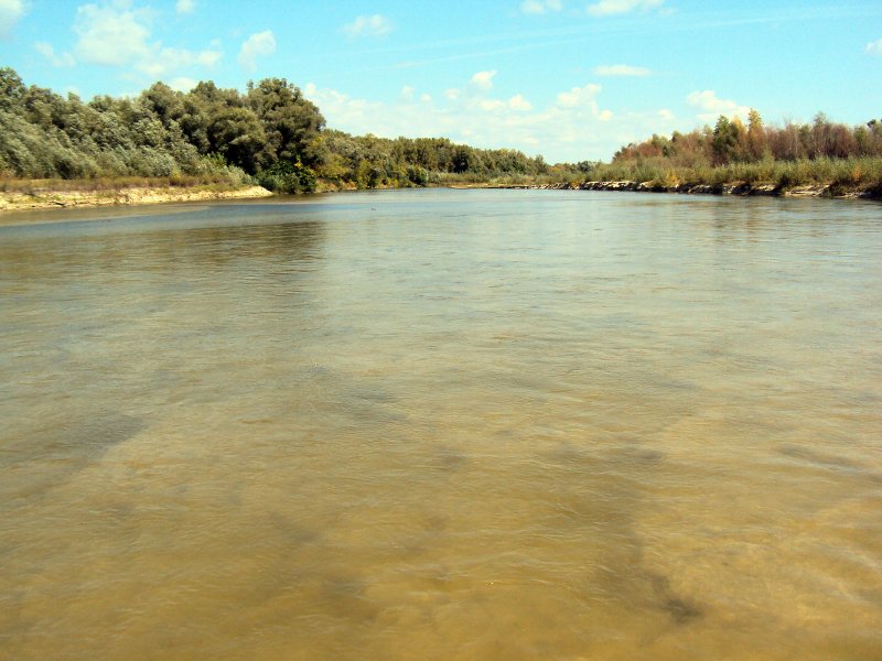 Река Медведица Волгоградская область Михайловка