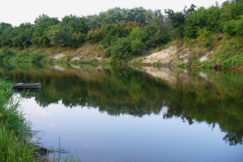 Река Медведица Волгоградская обл