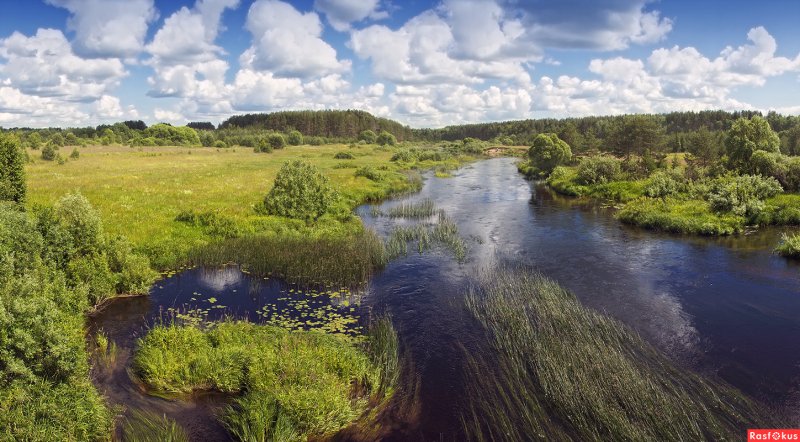 Река Медведица Тверская область фото
