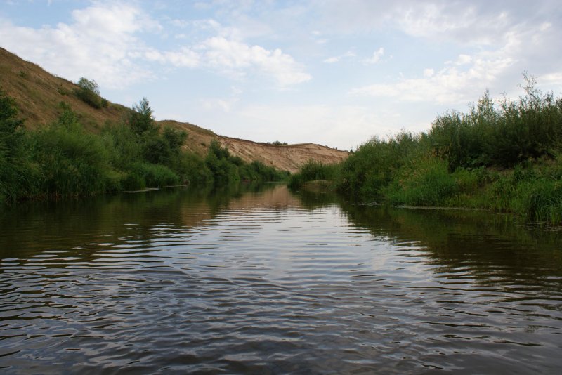 Река Медведица Саратовская область пляж