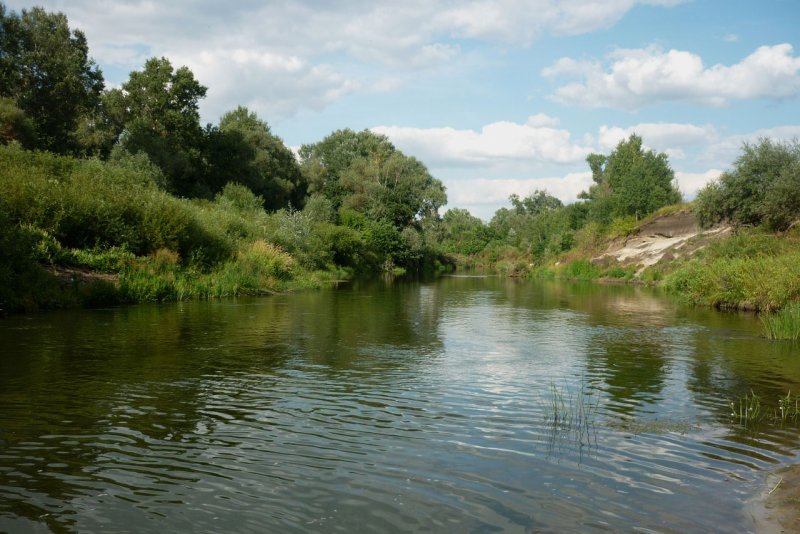 Саратов река Медведица