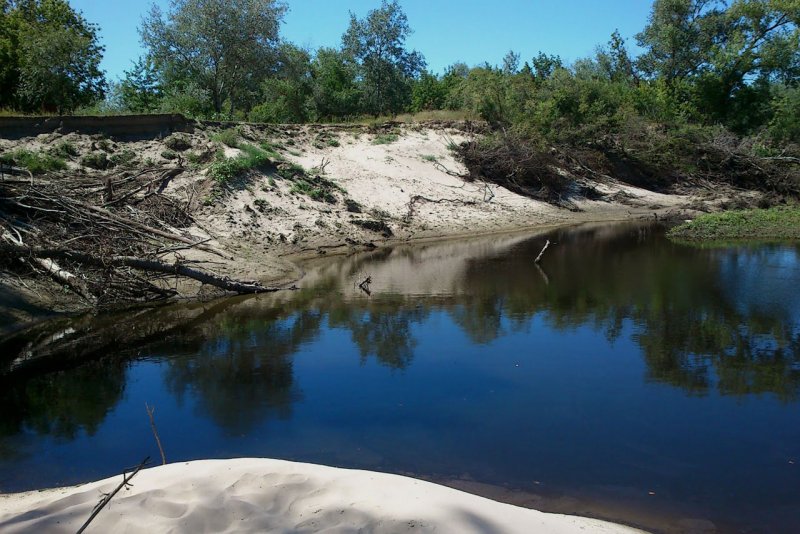 Устье реки Медведица Волгоградская область