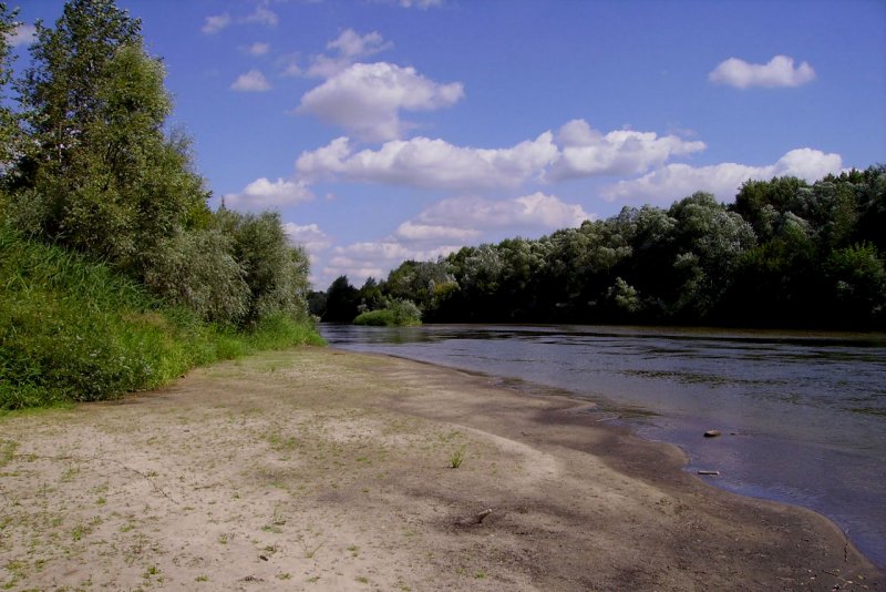 Река Медведица Тверская область