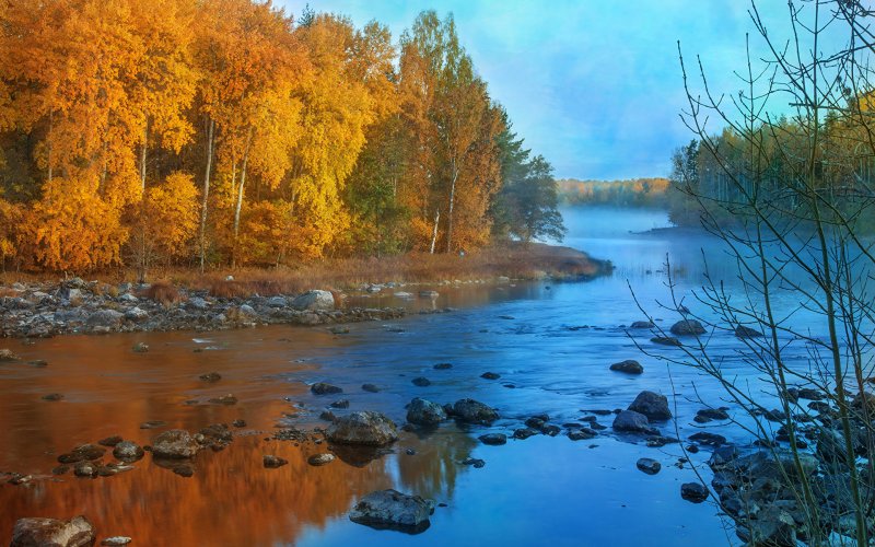 Река Тулва осень