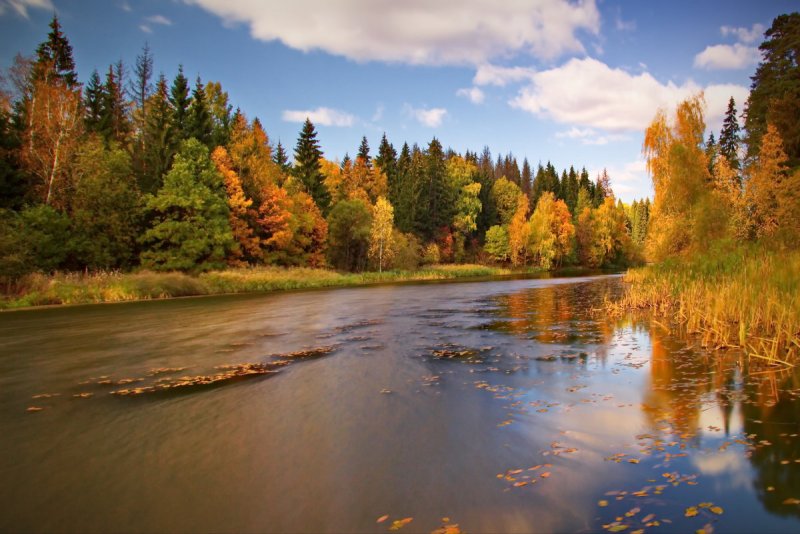 Осенний пейзаж у реки