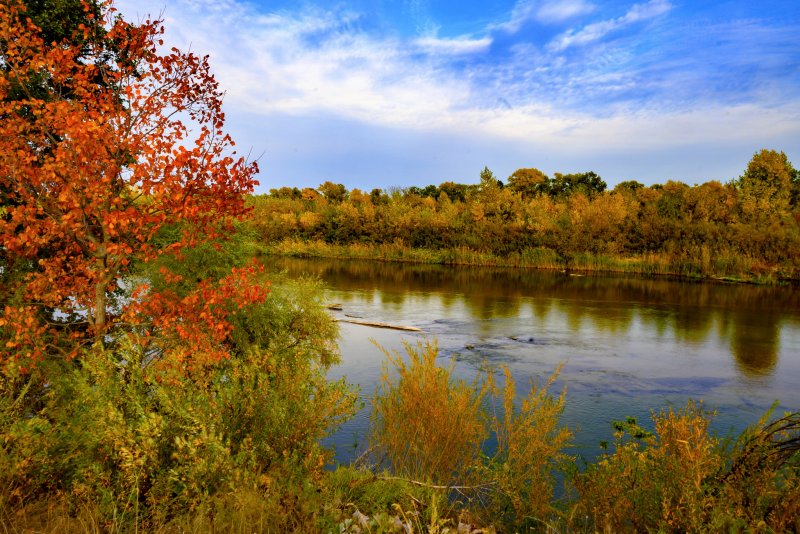 Река Десна Брянск осень