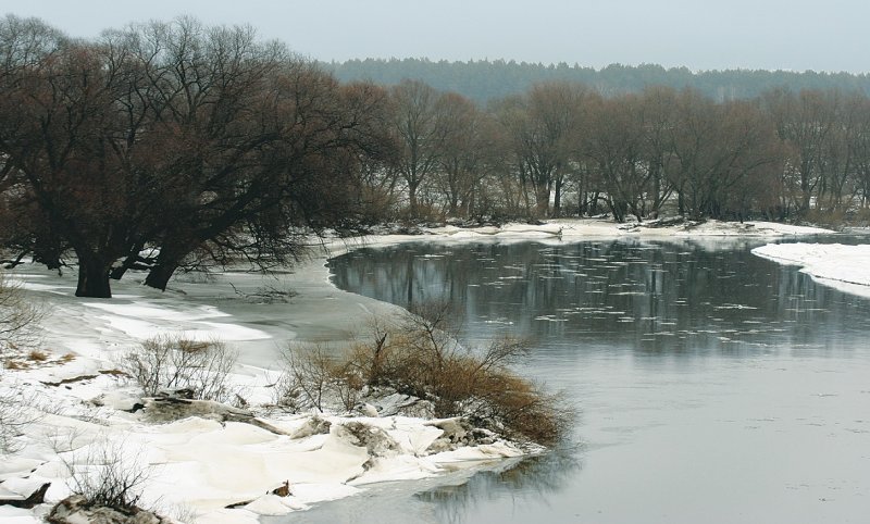 Река Протва Обнинск
