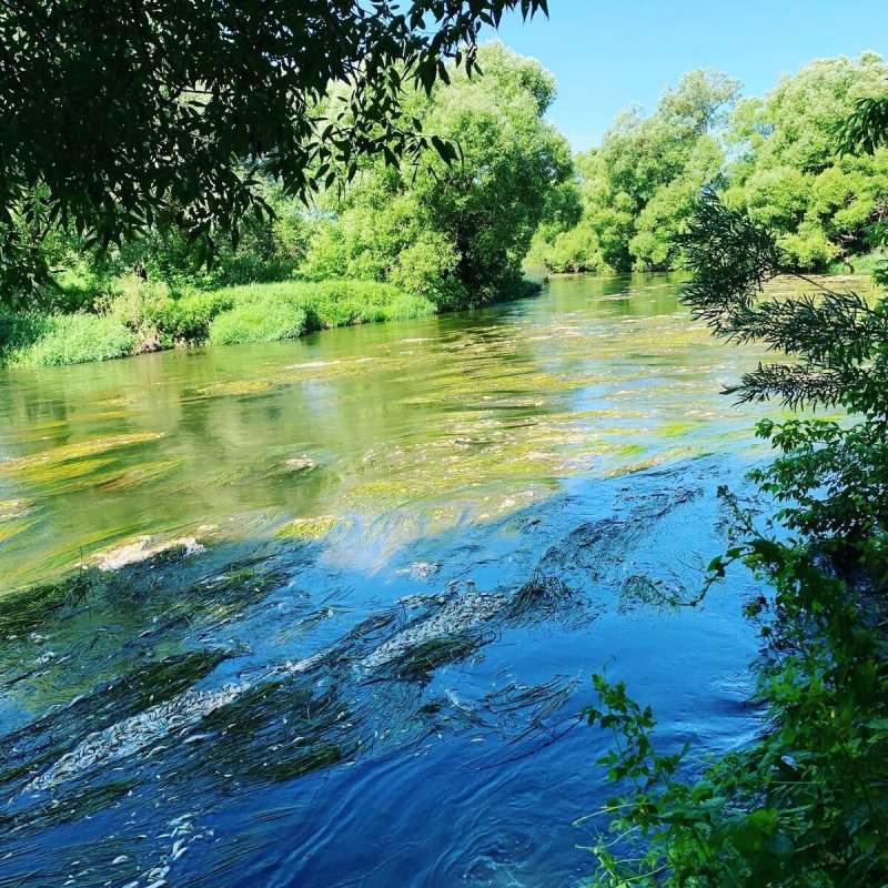 Река Протва Калужская область