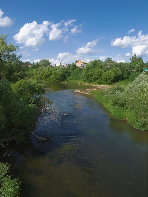 Река Боровна в Калужской области