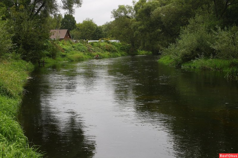 Река Протва Калужская область