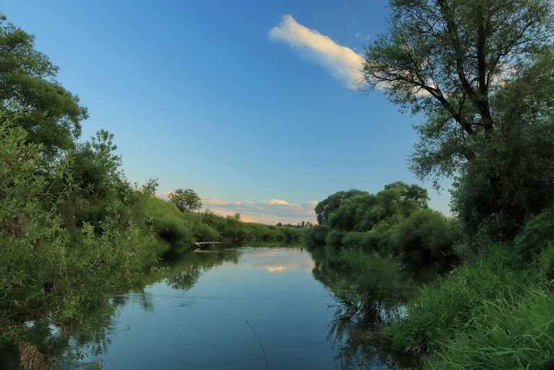Река Протва в районе Протвино