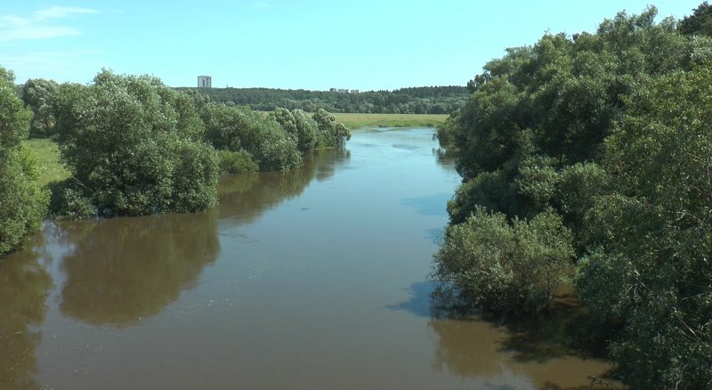 Река Протва Можайский район