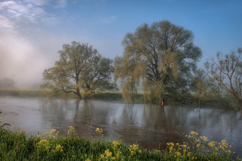 Протва (река) Ивановка