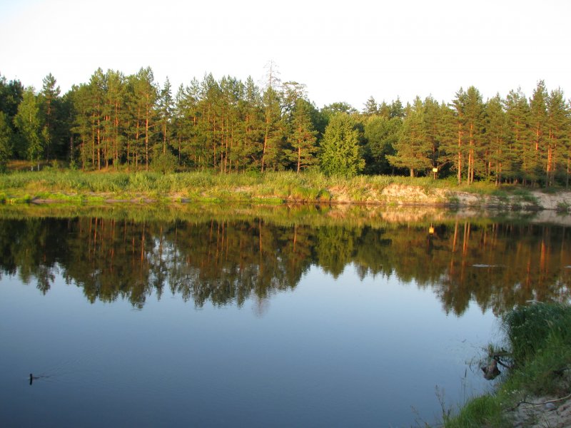 Река Лух Владимирская область
