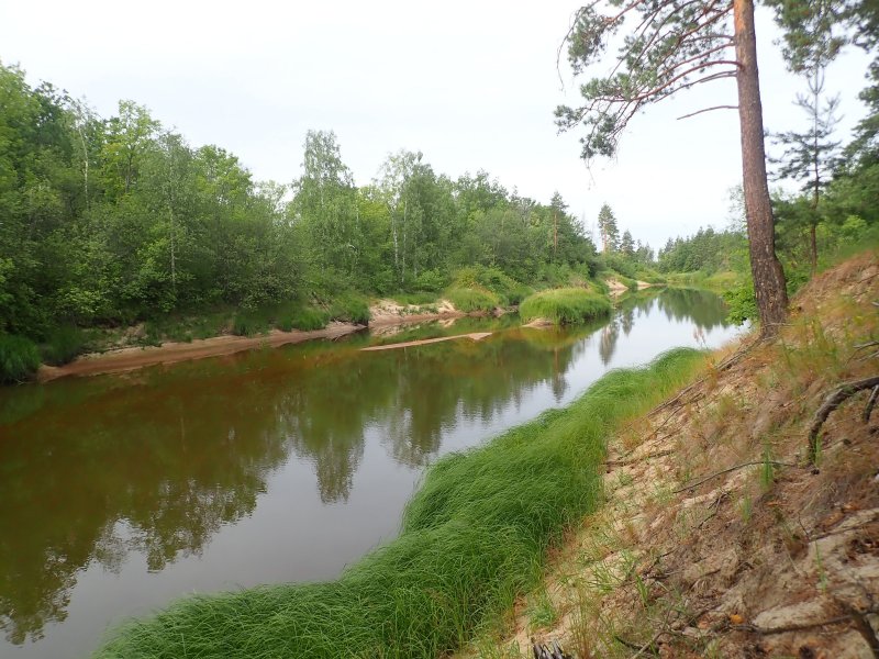 Река Лух Нижегородская область