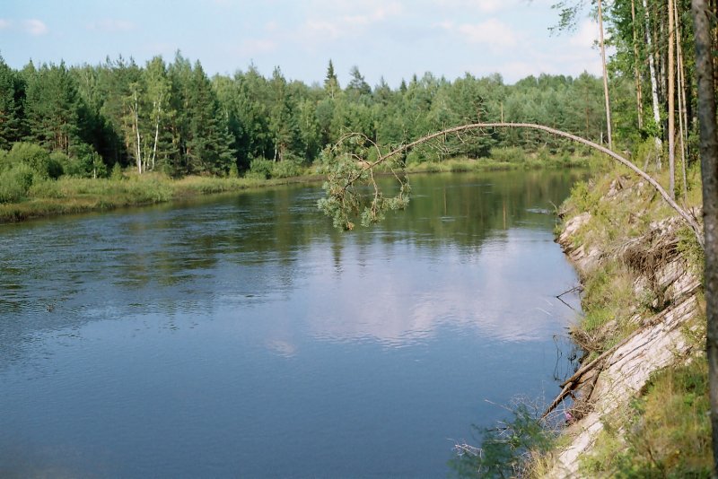 Река Лух в Костромской области
