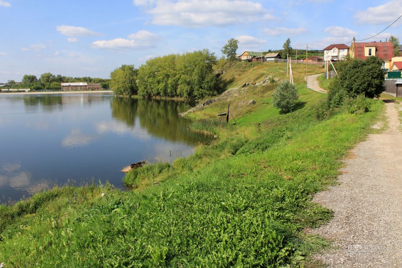 Река Кривка Липецкая область