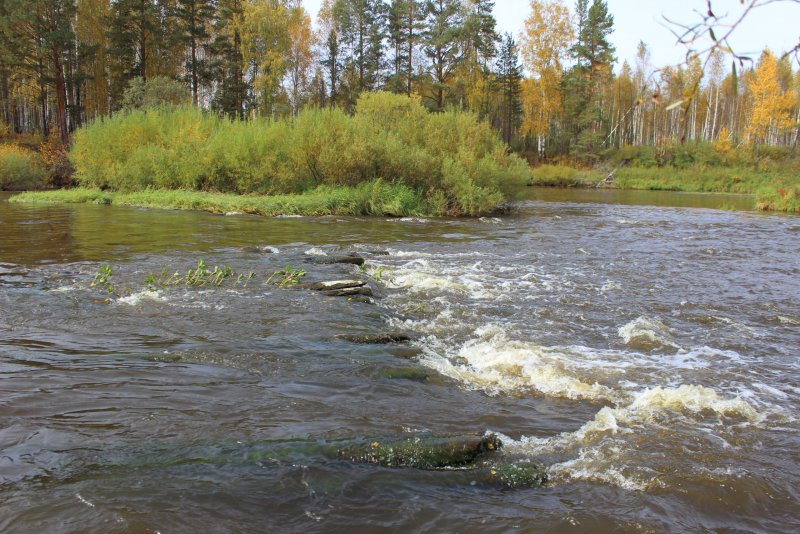 Река Нейва Свердловская область рыбалка