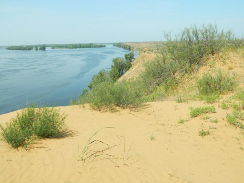 Орловский пруд – пляж Волгограда