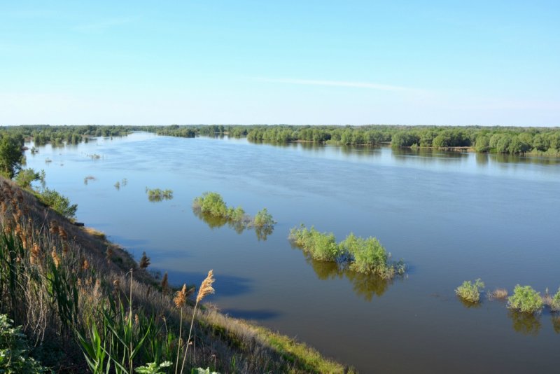 Приток Волги река Ахтуба