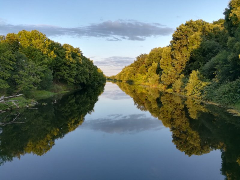 Река Десна Смоленская область