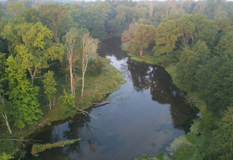 Река Десна Брянск фото