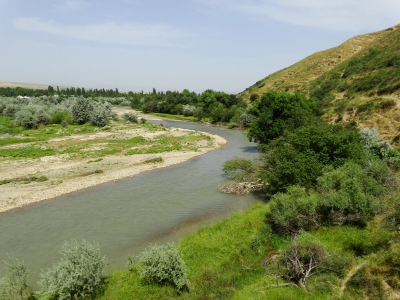 Тюлькубас и река Арысь