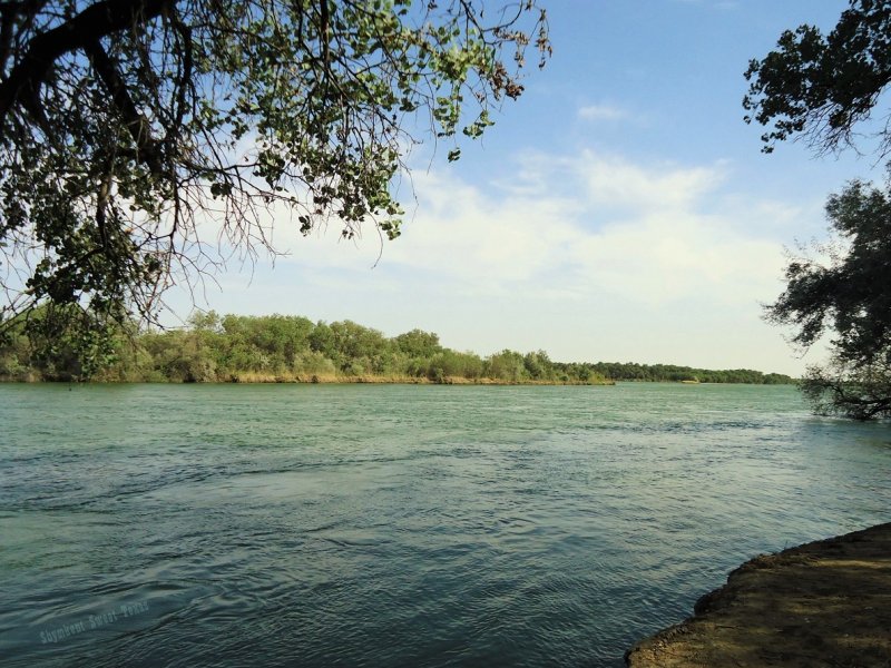 Река Сейхун