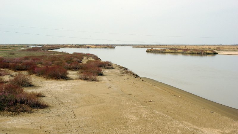 Река Сырдарья в Кызылорде
